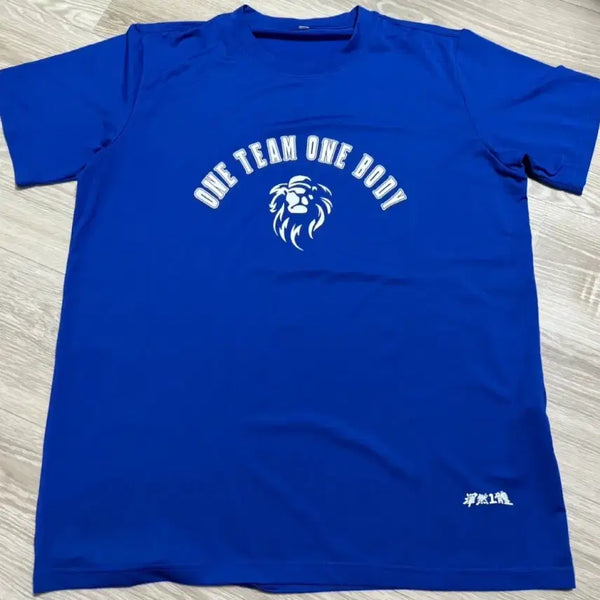 [BUNJANG] Samsung Lions Baseball Team T-Shirt / 삼성 라이온즈 티셔츠