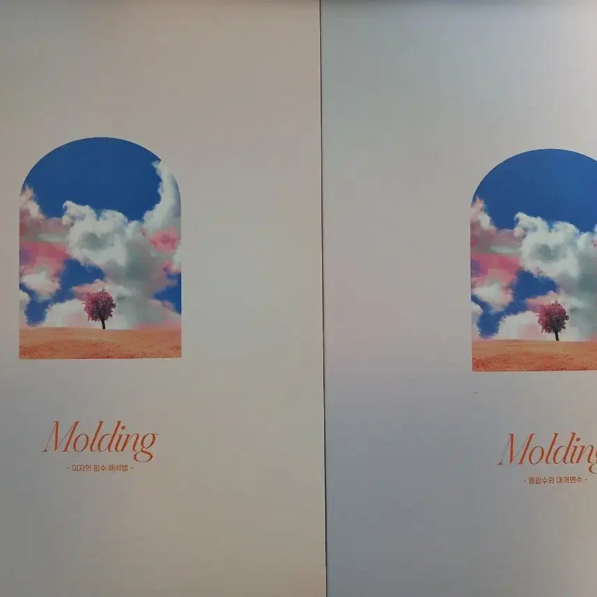 [BUNJANG] Sidae Injae Choi Ji-wook Calculus Molding Math Workbook (Includes Answer Key) / 2027 시대인재  최지욱T 미적분 몰딩 수학문제집 (답지 포함)