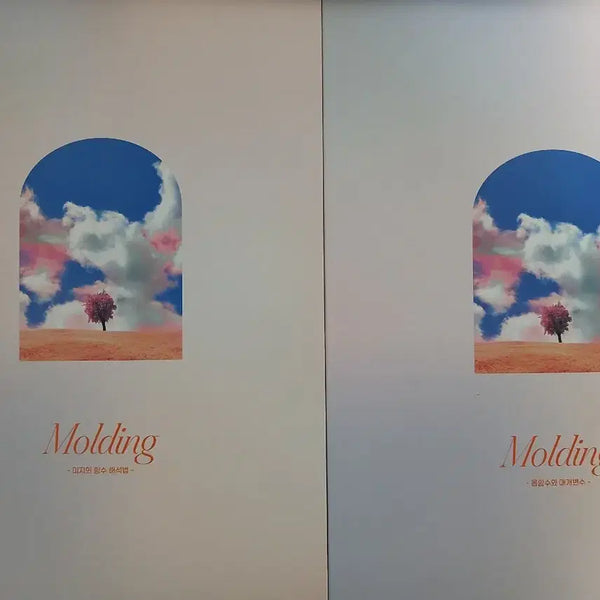 [BUNJANG] Sidae Injae Choi Ji-wook Calculus Molding Math Workbook (Includes Answer Key) / 2027 시대인재  최지욱T 미적분 몰딩 수학문제집 (답지 포함)
