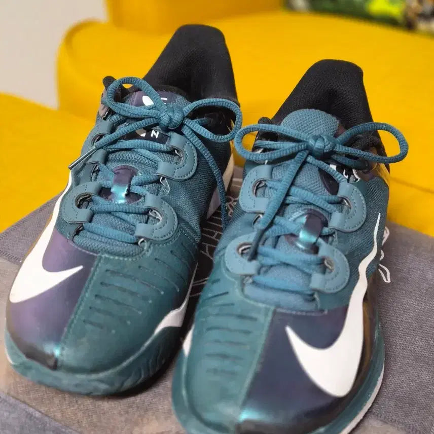 [BUNJANG] Nike Golf Shoes Green 270 / 나이키 골프화 그린 270