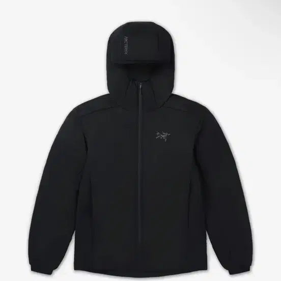 [BUNJANG] Arc'teryx Atom SV Hoodie Black (L) / (파워정품)아크테릭스 아톰 sv 후디 블랙(L)