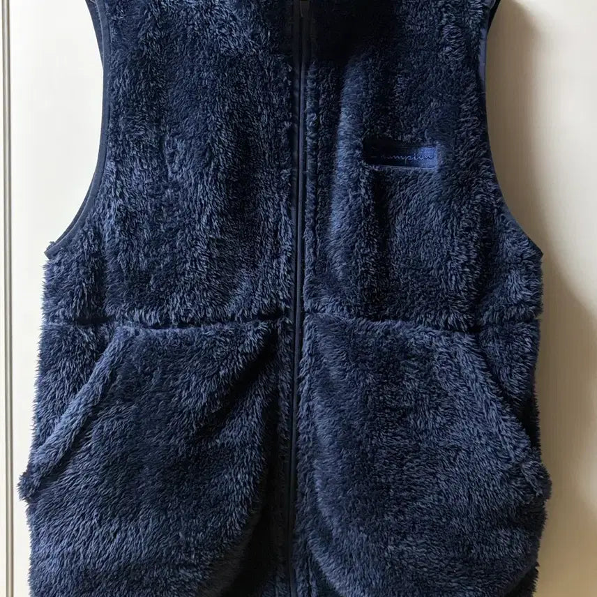 [BUNJANG] Freaks Store Champion Collaboration Fleece Vest / Freaks 프릭스스토어 챔피온 콜라보 후리스 조끼 F