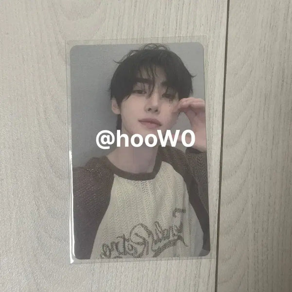 [BUNJANG] ENHYPEN Sunghoon Photocard AliExpress 2024 Weverse / 위버스콘 엔하이픈 성훈 포카 AliExpress 2024 Weverse
