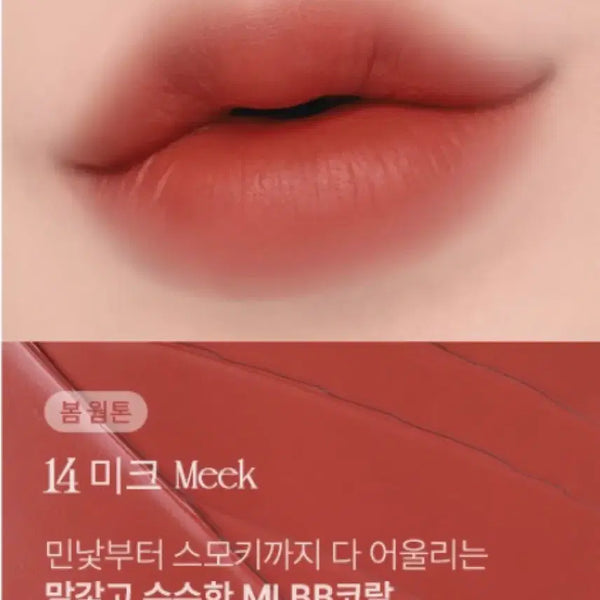 [BUNJANG] Forencos Tattoo Clair Velvet Tint #14 Meek / [새상품] 포렌코즈 타투 끌레르 벨벳 틴트 14 미크
