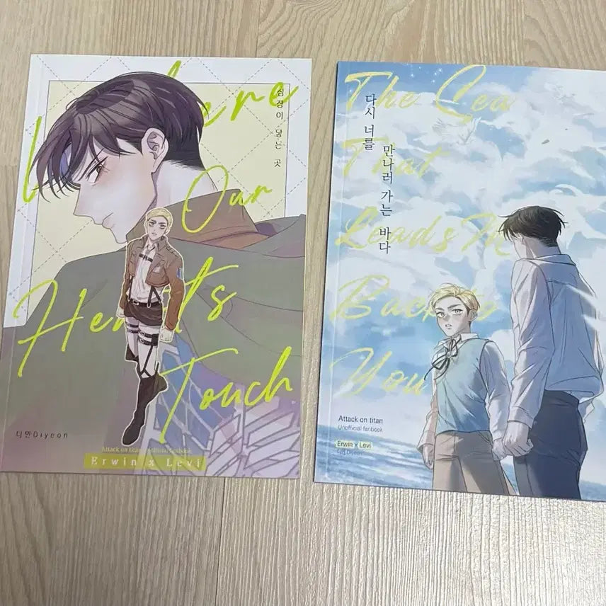 [BUNJANG] Attack on Titan Levi x Eren Doujinshi Bundle / 진격의 거인 진격거 회지 리바엘빈 에루리