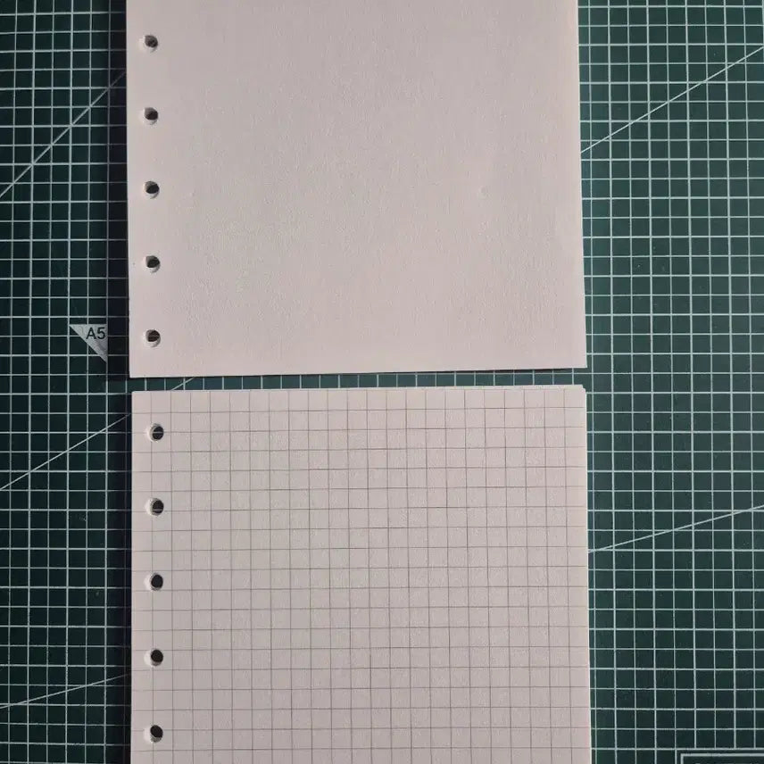 [BUNJANG] Biondwi Square 6-Hole Diary Inserts / 비온뒤 스퀘어 6공 다이어리 내지