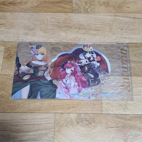 [BUNJANG] Fantasia Bunko Kingdom Fair Clear Book Cover / 판타지아 문고 킹덤 페어 클리어 북커버 판매합니다