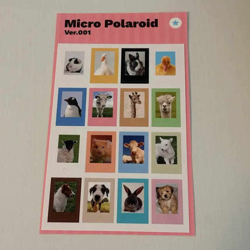 [BUNJANG] OAB Micro Polaroid Sticker Set / 새상품) oab 마이크로 폴라로이드 스티커 다꾸