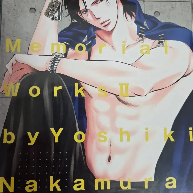 [BUNJANG] Skip Beat! Memorial Works II Illustration Collection / 스킵비트 일러스트 모음집