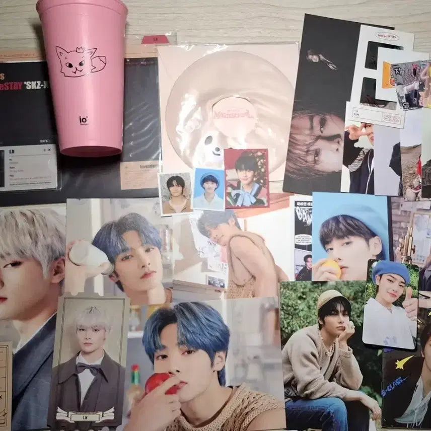 [BUNJANG] Stray Kids I.N SKZ-X Fan Meeting Ticket File Magic School Tube Fox Nyini Bundle Set / 스트레이키즈 아이엔 skz-x 팬미팅 티켓 파일 매직스쿨튜브 폭시니 일괄