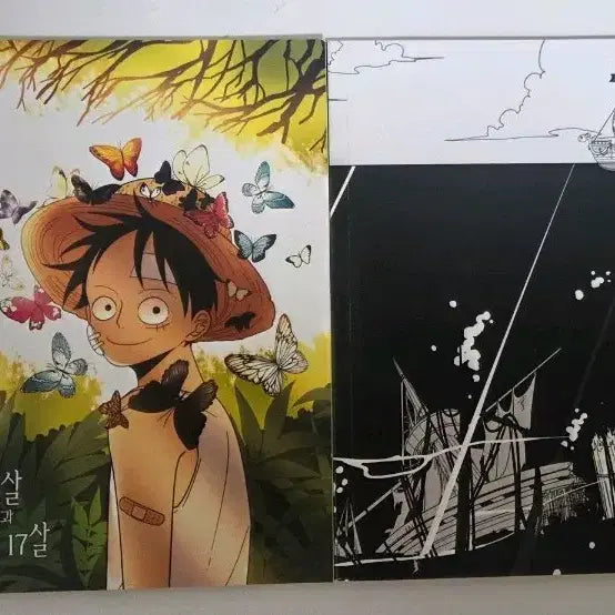 [BUNJANG] One Piece Ace x Luffy Fanbook Set / 원피스 에이루 유야님 회지 세트 판매