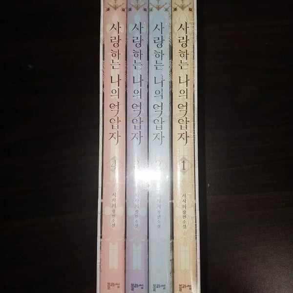 [BUNJANG] My Beloved Oppressor Novel Complete Box Set (Volumes 1-4) / 사랑하는 나의 억압자 소설 1~4권 박스본 판매