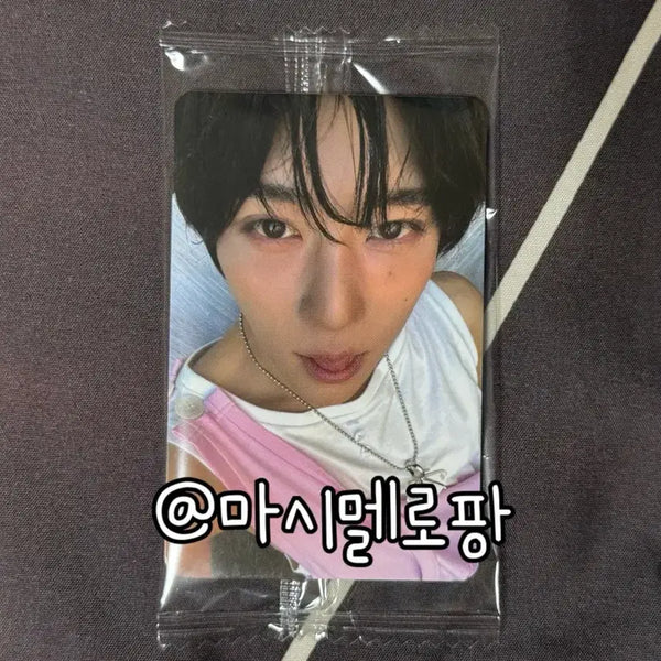 [BUNJANG] NCT WISH ODD TO LOVE Ktown4u Special POB Photocard Zion / 엔시티위시 오드투러브 케타포 특전 시온 포카 포토카드 nct wish