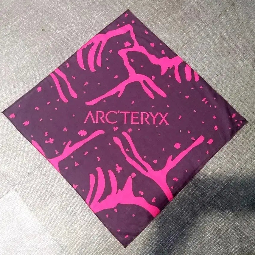 [BUNJANG] Arc'teryx Skeleton Bird Graphic Bandana Scarf / Arc'teryx  스켈레톤 버드 그래픽