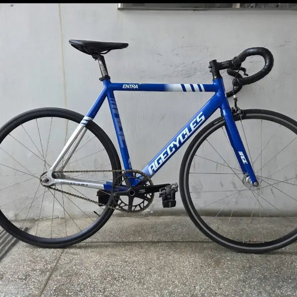 [BUNJANG] Age Entra Full Bike L Size / 에이지 엔트라 완차 판매