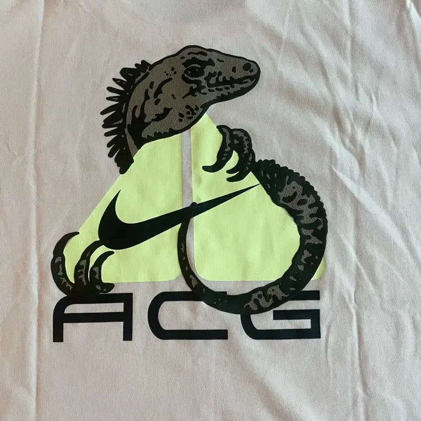 [BUNJANG] Nike ACG Dri-FIT Phantom T-Shirt XXL / 나이키 ACG 드라이핏 팬텀 반팔티 (새제품. XXL)
