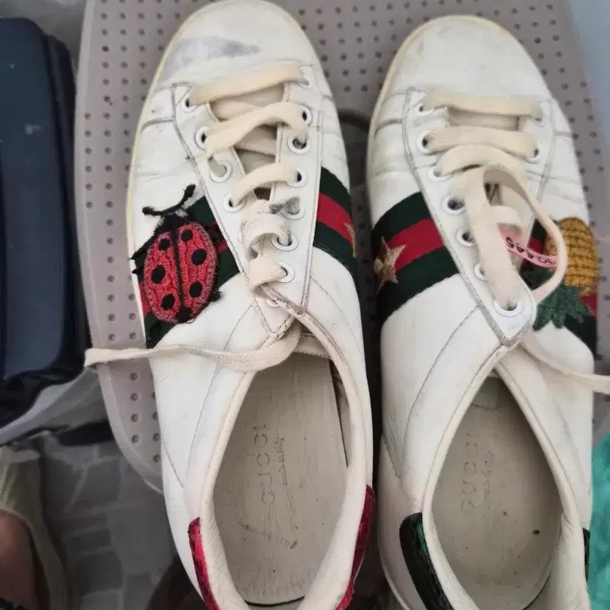 [BUNJANG] Gucci Sneakers Size 37 / 구찌스니커즈