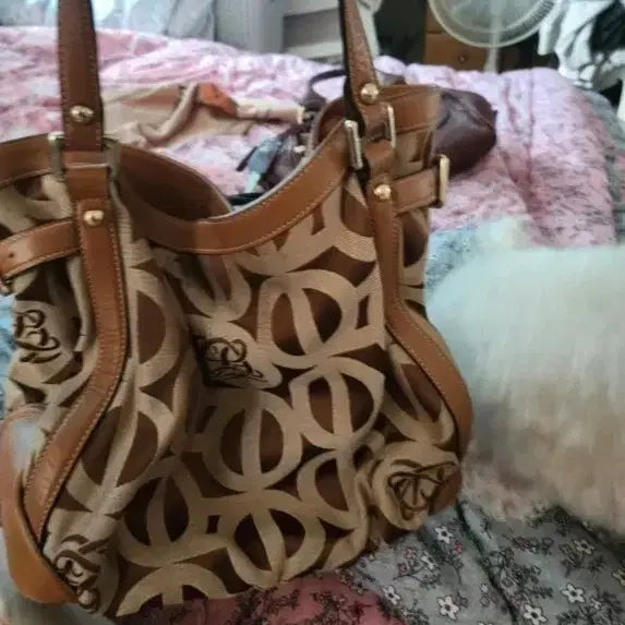 [BUNJANG] Louis Quatorze Logo Pattern Canvas Tote Bag / 루이까또즈가방