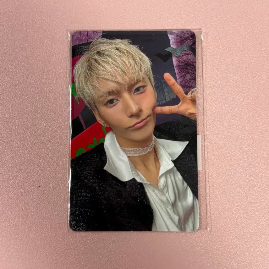 [BUNJANG] Xdinary Heroes Fan Meeting MD Odd Photocard / 엑스디너리히어로즈 엑디즈 팬미팅 엠디 4만원 특전 포카 오드 셀카