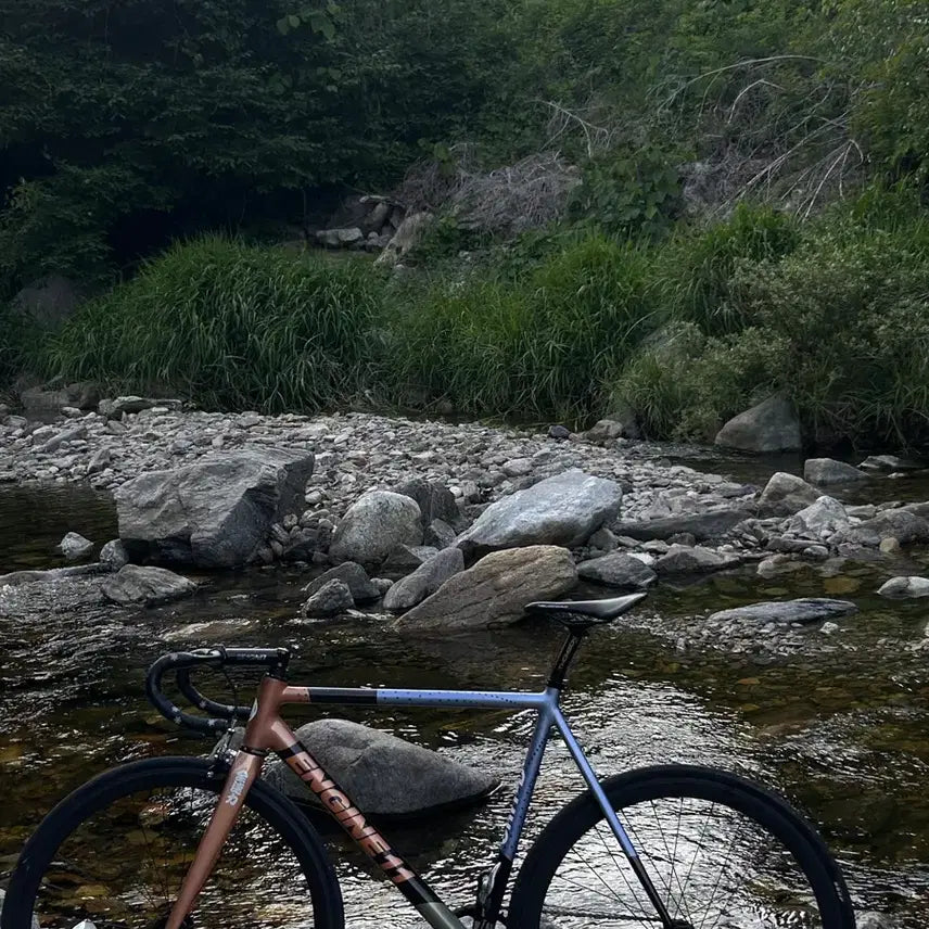 [BUNJANG] Golden Chaos L Size Bicycle / 골든카오스 L사이즈 대차
