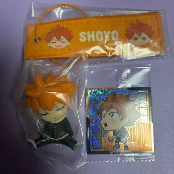 [BUNJANG] Haikyuu!! Hinata Goods Bundle Set / 하이큐 히나타 굿즈 일괄
