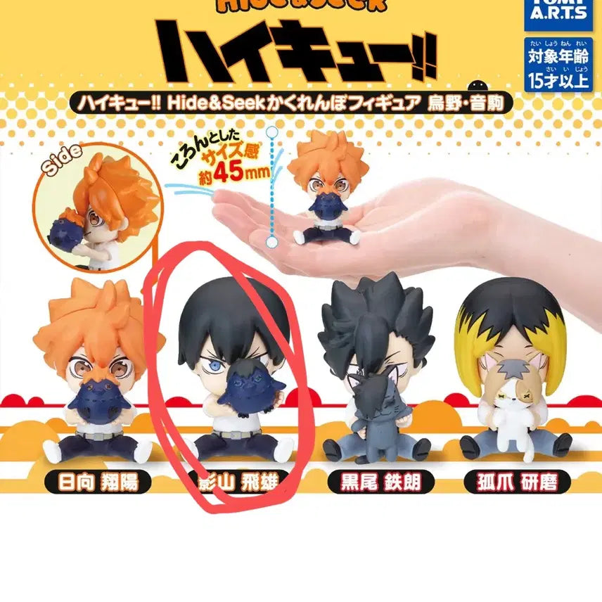 [BUNJANG] Haikyuu!! Hide-and-Seek Gacha / 하이큐 숨바꼭질 가챠