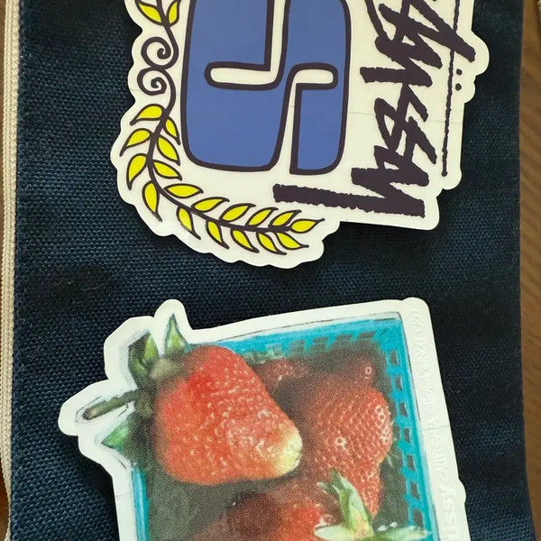 [BUNJANG] Stussy Sticker / 스투시 스티커