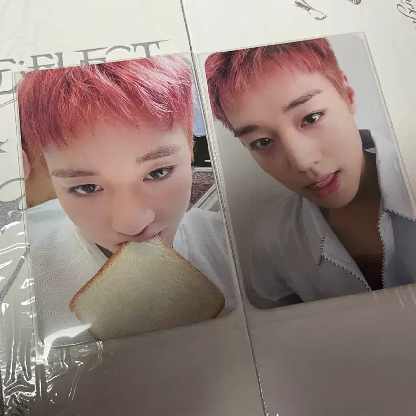 [BUNJANG] Park Ji Hoon Sealed Album Bundle Set Photocard / 미개봉)박지훈 포카 앨범 일괄 양도