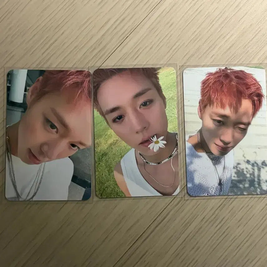 [BUNJANG] Park Ji Hoon Reflect Popup 3 Photocard Bundle Set / 박지훈 reflect 팝업 5만원이상 포카 3종 일괄