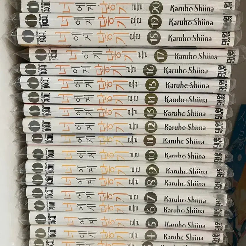 [BUNJANG] From Me to You Manga Volumes 1-22 (Volume 22 Sealed) / 급처)) 너에게 닿기를 1-22권 (22권 미개봉 새상품)