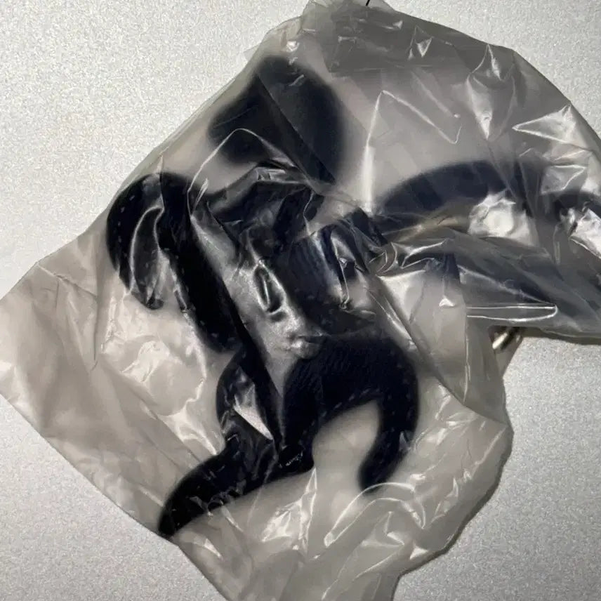 [BUNJANG] CHAGEE Cha Ki Keyring (Sealed) / [미개봉 새상품] CHAGEE 차지 말 키링