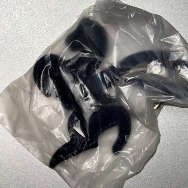 [BUNJANG] CHAGEE Cha Ki Keyring (Sealed) / [미개봉 새상품] CHAGEE 차지 말 키링