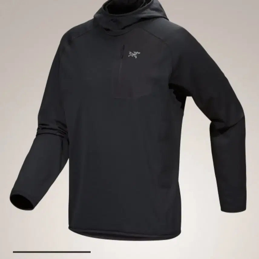 [BUNJANG] Arc'teryx 25FW Delta Pullover Hoodie Black L (100-105) / 아크테릭스 25fw 델타 풀오버 후드맨 블랙 L(100~105)