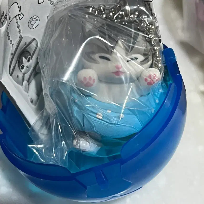 [BUNJANG] Mofu Sand Cat Donut Gacha Toy / 모프샌드 모푸샌드 모후샌드 고양이 도넛 가챠 판매