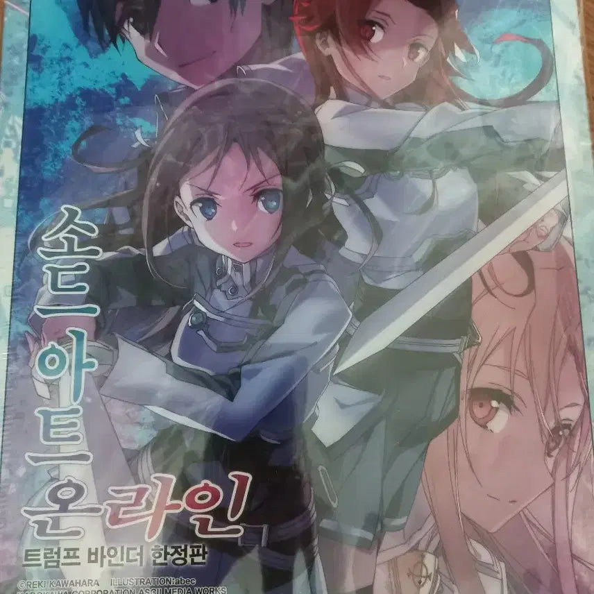 [BUNJANG] Sword Art Online Volume 20 Limited Edition / 소드 아트 온라인 20권 한정판 판매합니다.