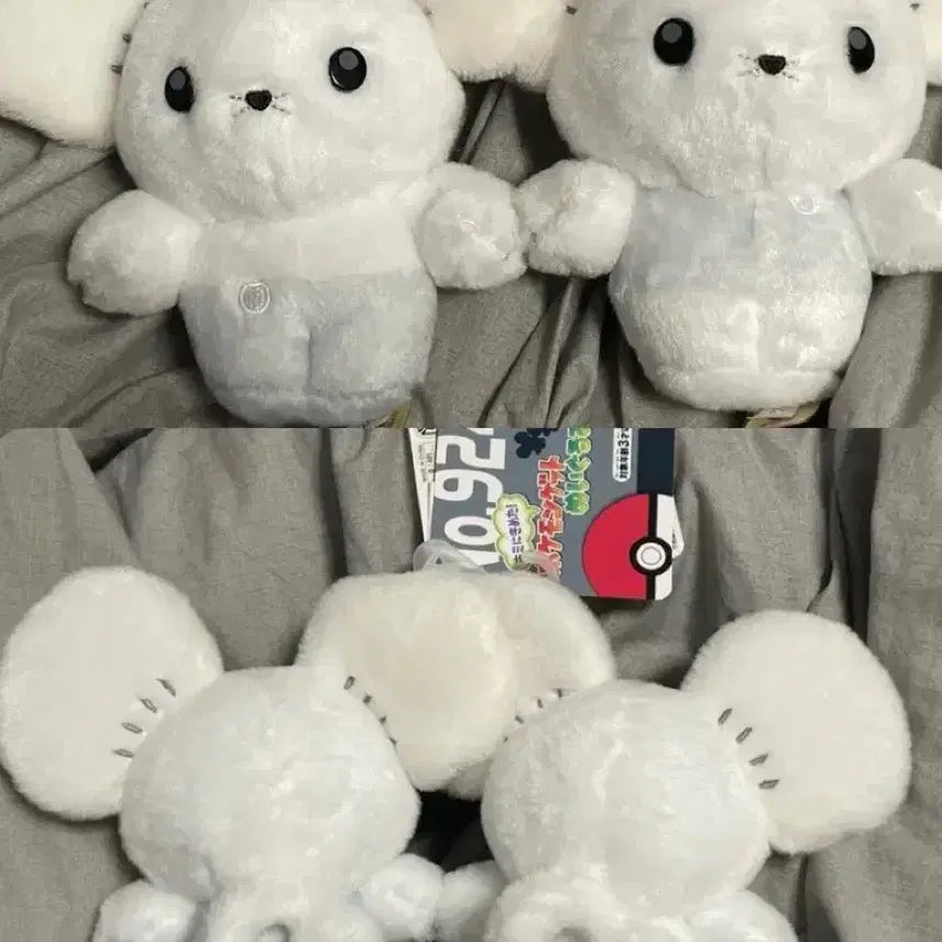 [BUNJANG] Pokemon Sentret Plush Toy / 포켓몬 두리쥐 센터 인형