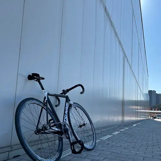 [BUNJANG] Tsunami SNM300 Folding Bicycle / 판}쓰나미snm300 {설명필독}