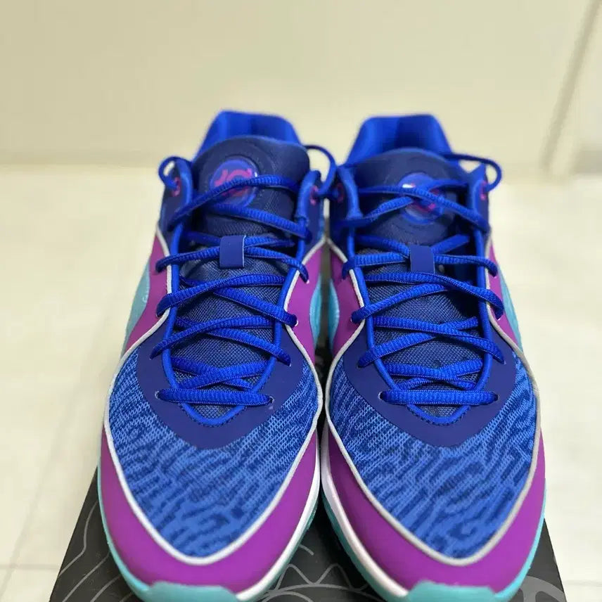 [BUNJANG] Nike KD16 Shoes / 나이키 KD16