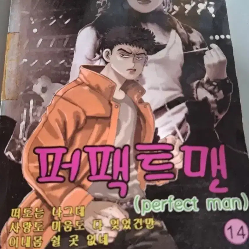 [BUNJANG] Ko Haeng-seok "The Uninvited Guest" Series: Perfect Man Vol. 1-14 Complete Set / 고행석 만화책 불청객 씨리즈 퍼팩트 맨  1~14권 완결작