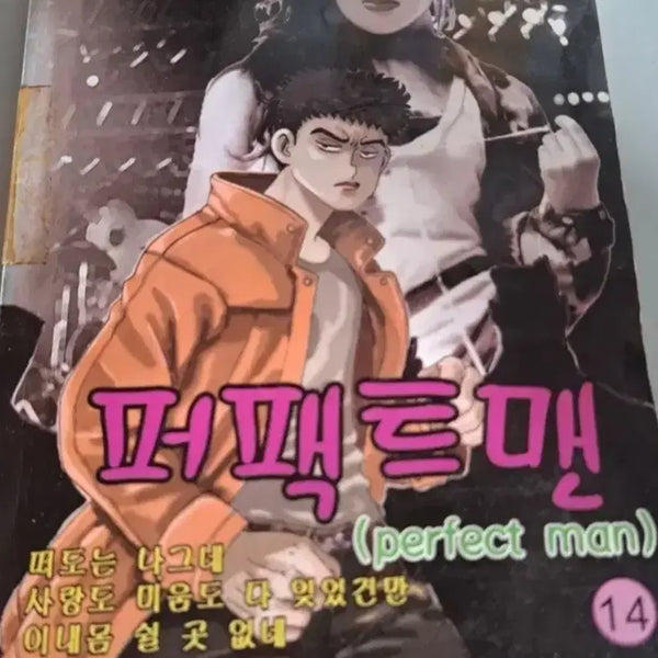 [BUNJANG] Ko Haeng-seok "The Uninvited Guest" Series: Perfect Man Vol. 1-14 Complete Set / 고행석 만화책 불청객 씨리즈 퍼팩트 맨  1~14권 완결작