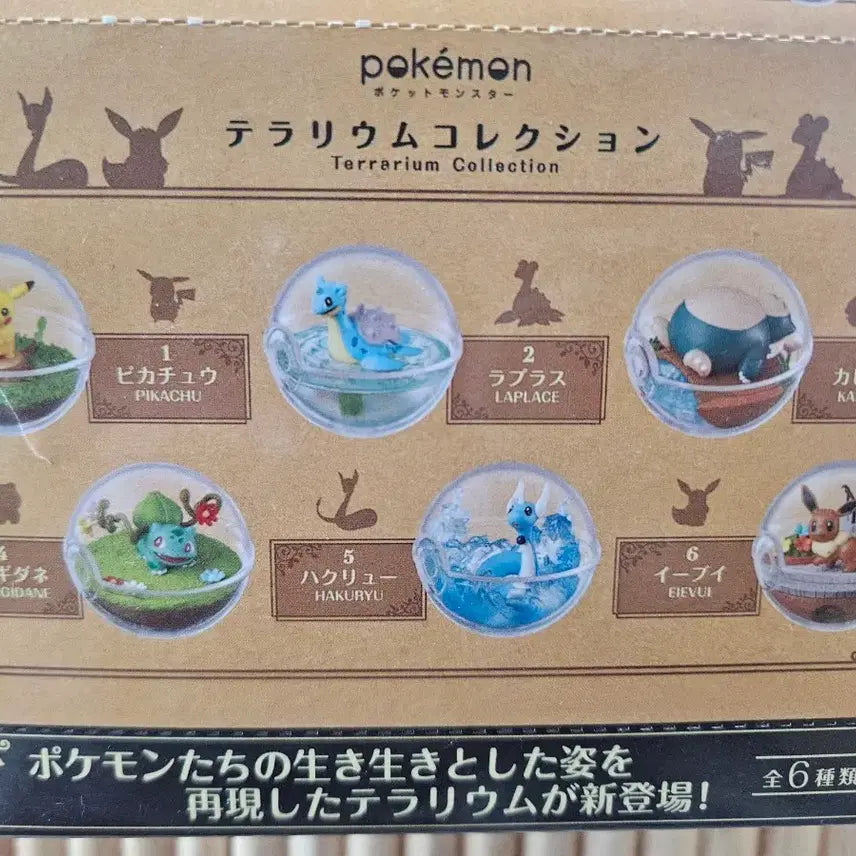 [BUNJANG] Pokemon Terrarium Collection 1st & 3rd Edition Full Set Sealed / 미개봉 포켓몬 테라리움 컬렉션 1탄,3탄 풀세트 팝니다
