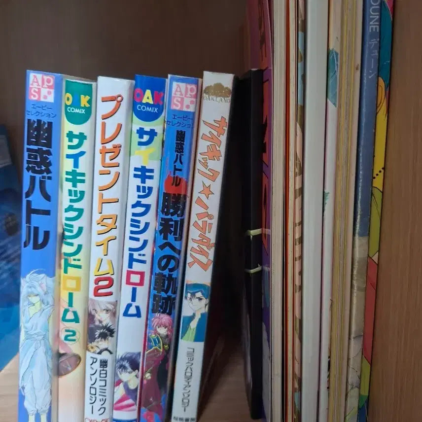 [BUNJANG] Yu Yu Hakusho Doujinshi Bundle Set / 유유백서 동인지 일괄