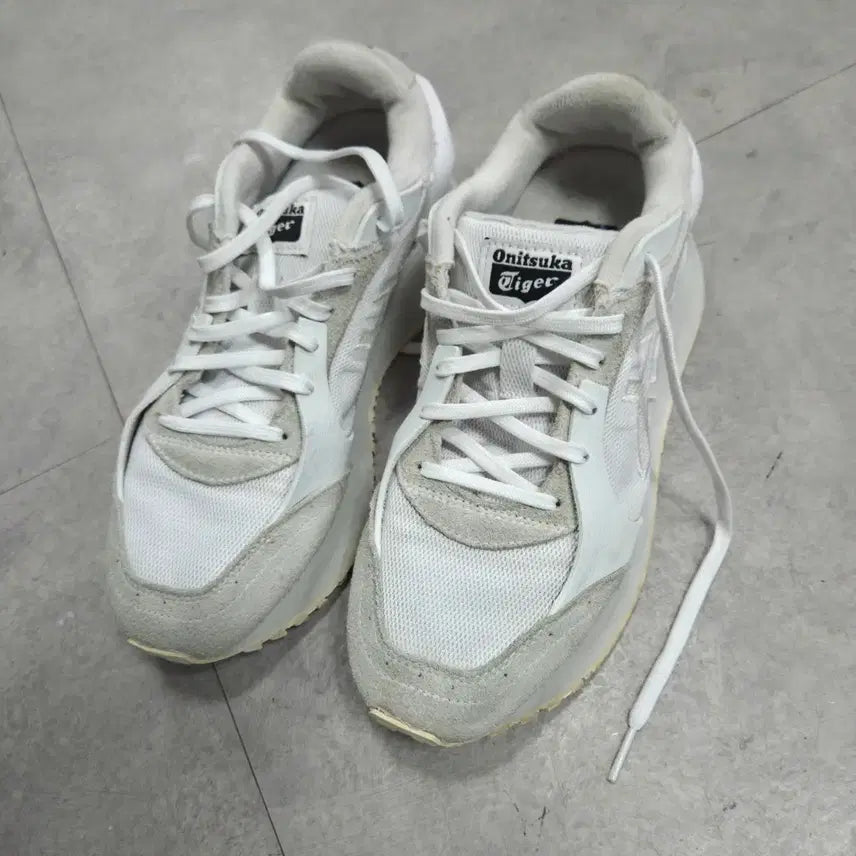 [BUNJANG] Onitsuka Tiger Mexico 66 Sneakers (245mm) / 오니츠카타이거 모아지 스니커즈 245