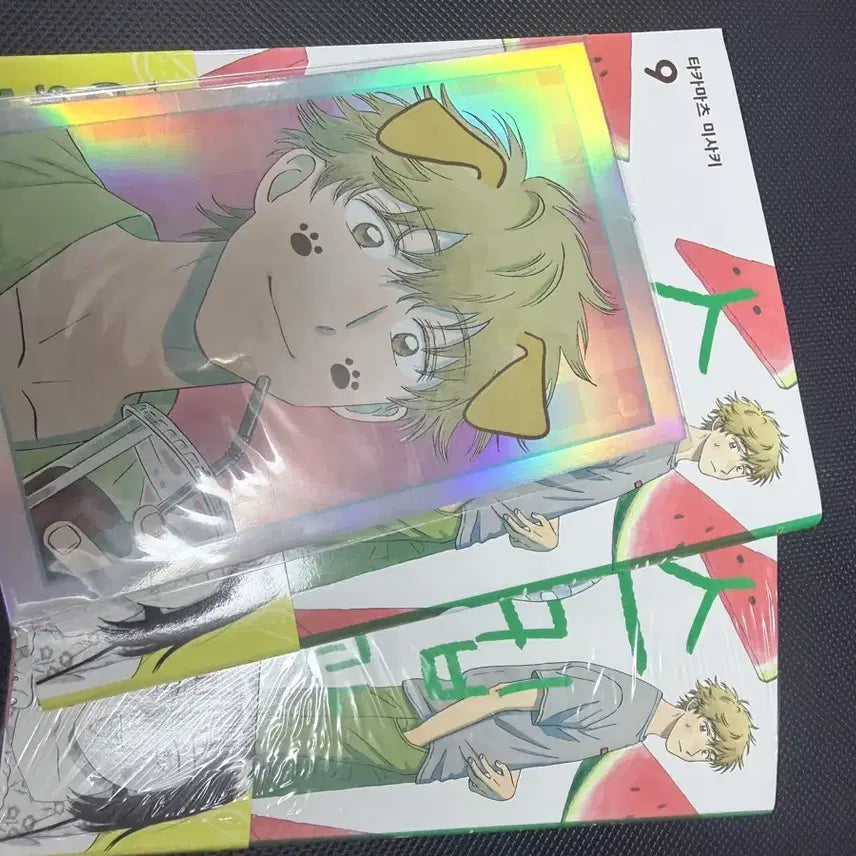 [BUNJANG] Skip and Loafer Volume 9 Special Edition / 스킵과 로퍼 9권 특전포함 팝니다