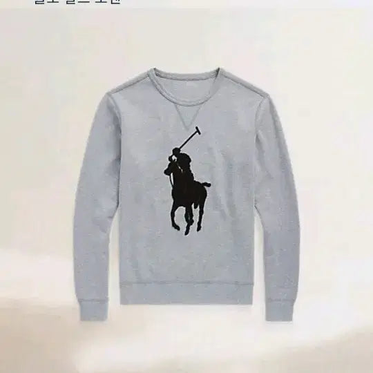 [BUNJANG] Polo Ralph Lauren Men's Sweatshirt / 정품 폴로맨투맨