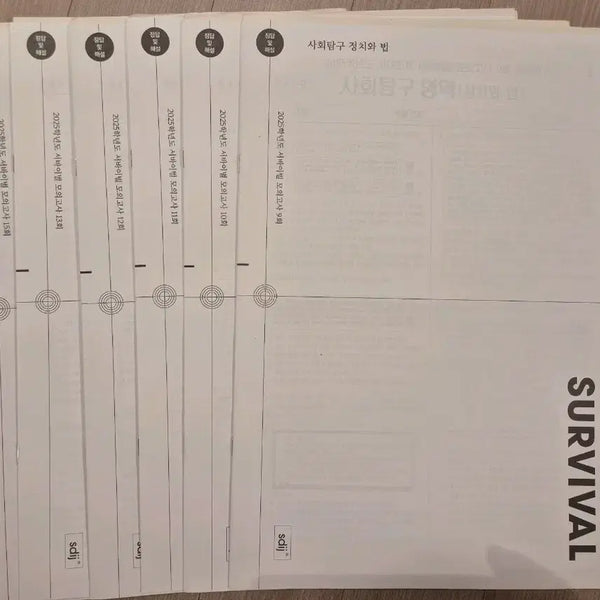 [BUNJANG] 2025 Political Science and Law Mock Exam Survival Set (6 Sessions) / 2025 정치와법 모의고사 시대인재 재종전용 서바이벌 실모 [6회분]