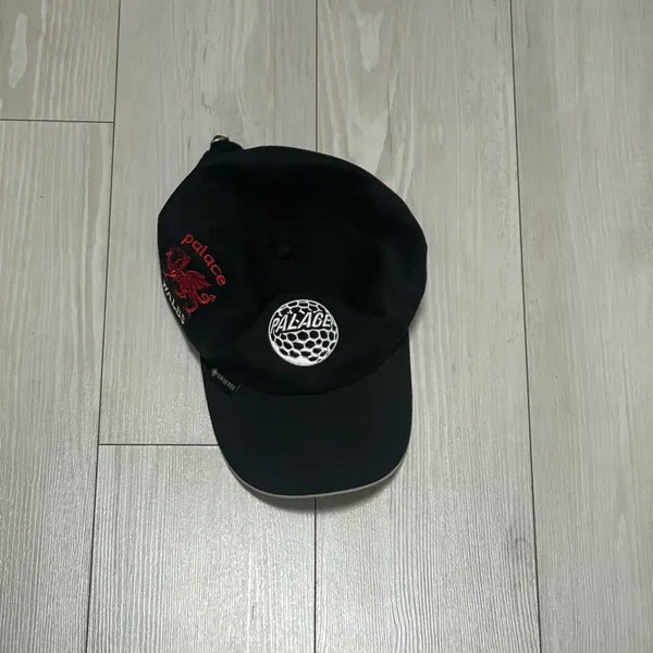 [BUNJANG] Palace Gore-Tex Wales Cap Hat / 팔라스 고어텍스 웨일즈 캡 모자