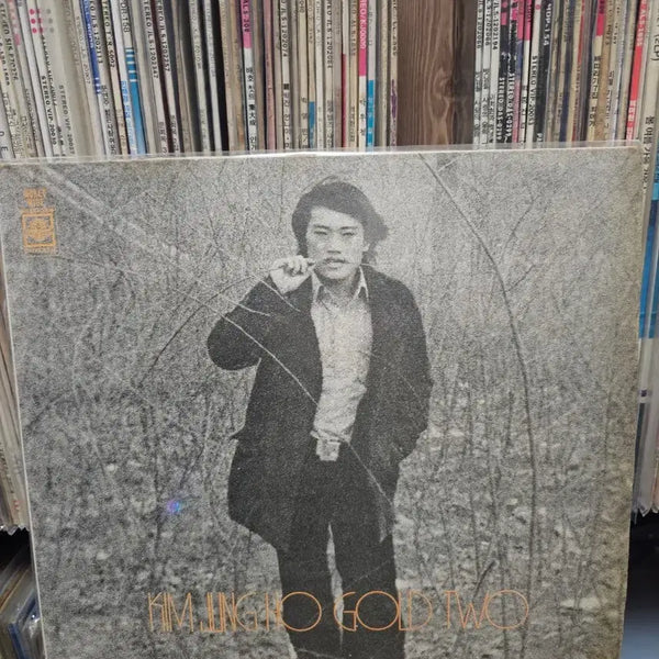 [BUNJANG] Kim Jung Ho 2nd Album Gold LP / [LP]김정호 골드 2집