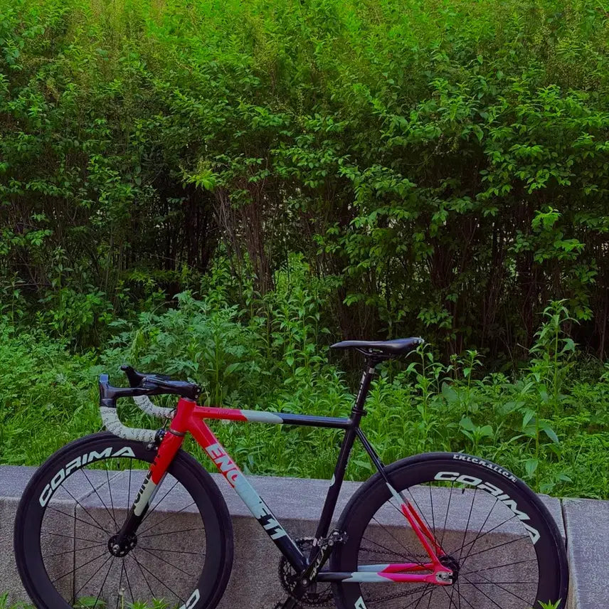[BUNJANG] Engine11 Crit-D Blood Orange Frame Set / 엔진11 크릿디 블러드오랜지 프셋