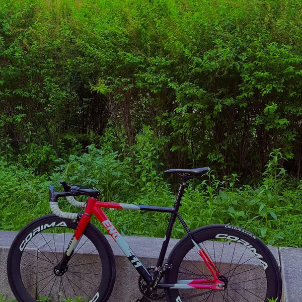 [BUNJANG] Engine11 Crit-D Blood Orange Frame Set / 엔진11 크릿디 블러드오랜지 프셋
